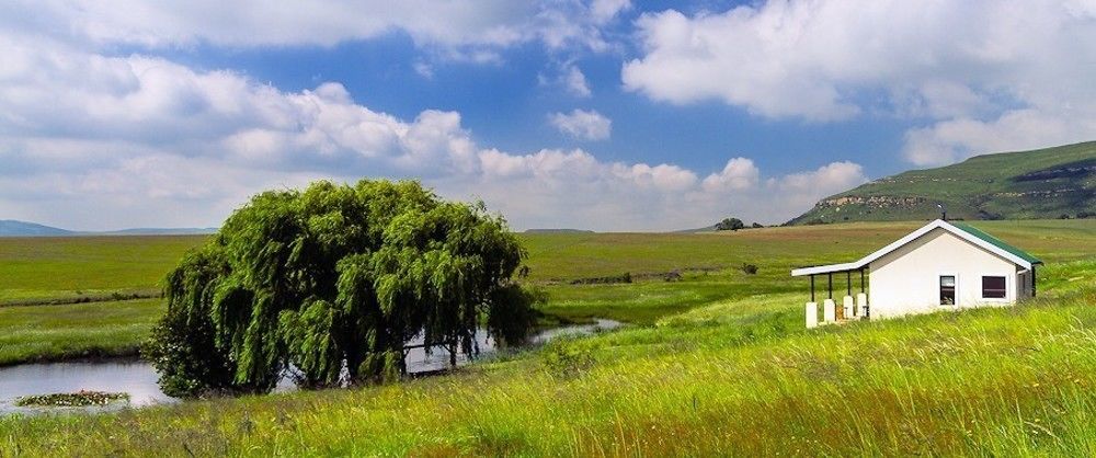 منزل الضيف Wakkerstroom  في فوريلينهوف جيست فارم المظهر الخارجي الصورة